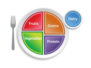 Illustration of a plate with color-coded sections for fruits, grains, vegetables, proteins and dairy