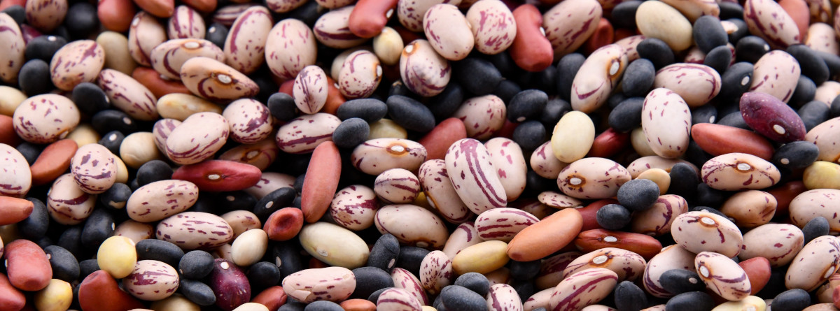 Mixed dried beans of varying colors