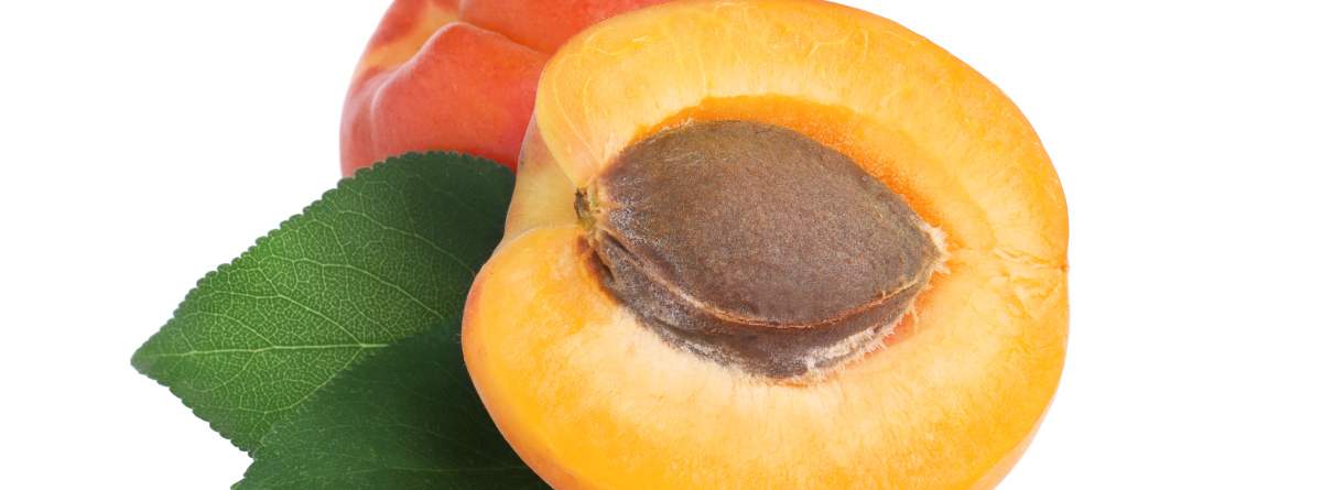 A apricot sliced in half with the pit visible