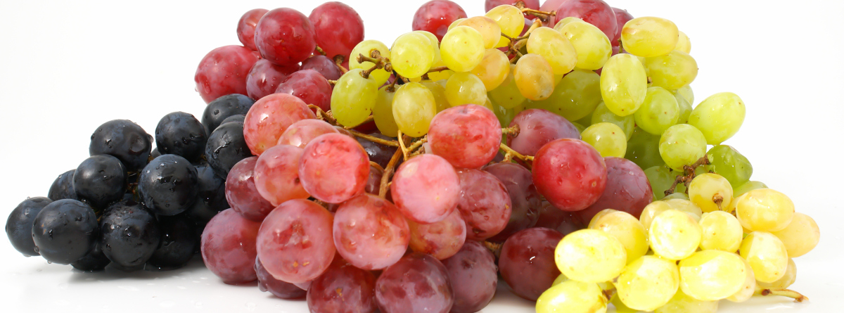 Bunches of red, purple and green grapes