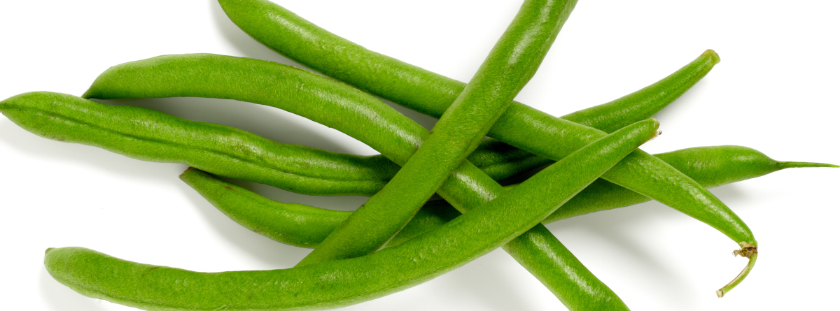 A bunch of fresh green beans