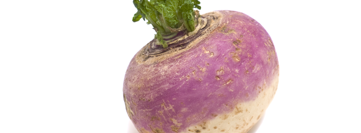 Fresh turnip